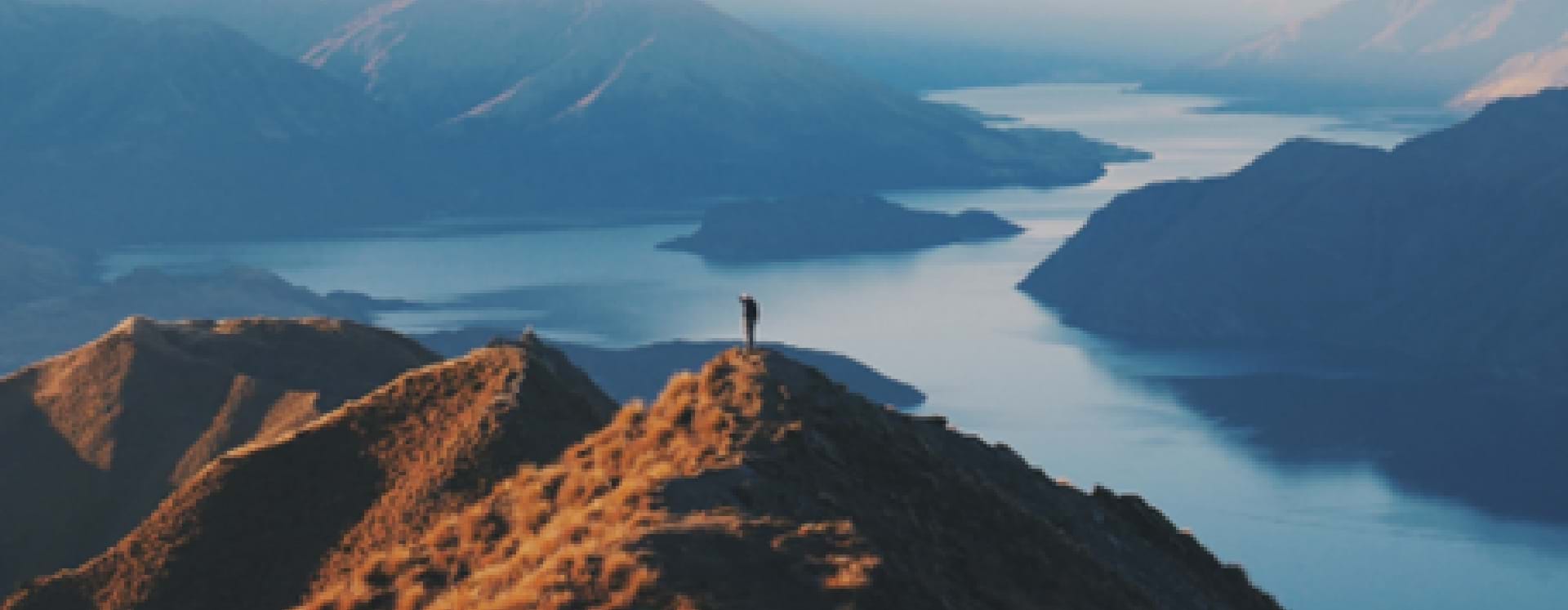 The employment landscape is on a steep tilt!